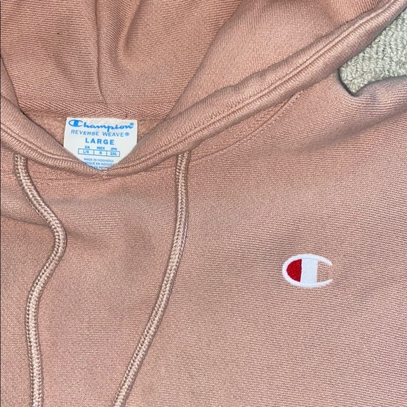 Cropped Champion Reverse Weave Hoodie - Picture 2 of 3